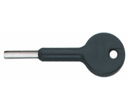 Pair of Keys for AC242 - AC243