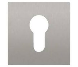 Karcher Flush Escutcheon