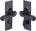 Marcus Shropshire Tudor Black Iron Lever Handle additional 3