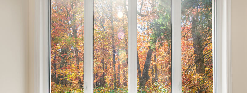 Large,Four,Pane,Window,Looking,On,Colorful,Fall,Forest