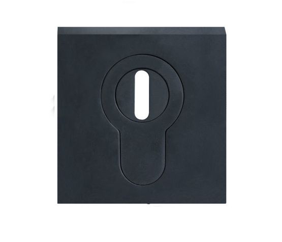 Karcher Security Europrofile Escutcheon